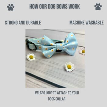 Floral Daisy And Polka Dot Dog Bow Tie, 3 of 5