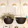 Pack Of Two Weave Pattern Hanging Planters, thumbnail 2 of 8