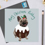 Frenchie Christmas Pudding Wrap, thumbnail 2 of 2