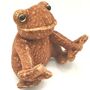 Personalised Toad Frog Soft Plush Toy, Gift Boxed, thumbnail 1 of 6