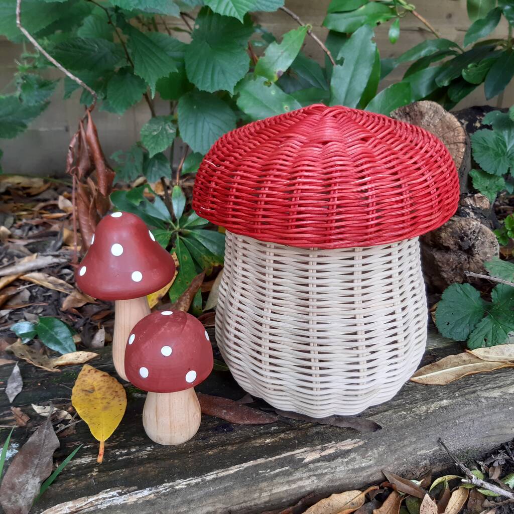 Mushroom Basket With Red Hand Dyed Lid, 1 of 5