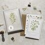 Christmas Botanical Six Cards And Envelopes, thumbnail 3 of 10