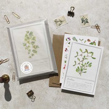 Christmas Botanical Six Cards And Envelopes, 3 of 10