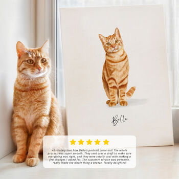 Pet Portrait Gift Hand Drawn Illustration, 10 of 11