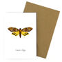 Death's Head Hawkmoth A6 Greetings Cards, thumbnail 6 of 7