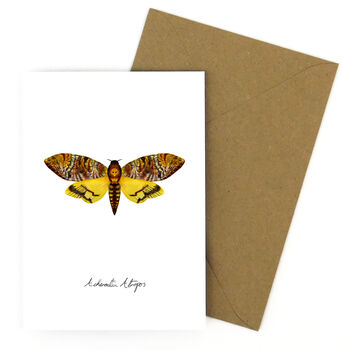 Death's Head Hawkmoth A6 Greetings Cards, 6 of 7