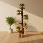 Teak Wood Freestanding Shelves Six Shelf Bookcase, thumbnail 2 of 5