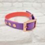 Waterproof Dog Collar And Lead Set Coral/Amethyst, thumbnail 2 of 3