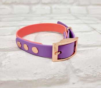 Waterproof Dog Collar And Lead Set Coral/Amethyst, 2 of 3