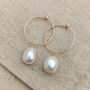 Elle Hoop Single Pearl Bridal Earrings, thumbnail 2 of 2