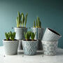 Teal Patterned Plant Pot, thumbnail 2 of 2