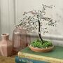 Blossom Bonsai Beaded Craft Kit, thumbnail 1 of 5