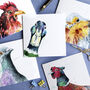 'Quirky Birds' Pack Of Five Blank Greeting Cards, thumbnail 1 of 7