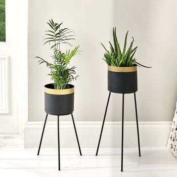 Black Plant Stand Indoor – Two Sizes, 2 of 3