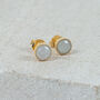 Barcelona June Birthstone Studs Moonstone, thumbnail 1 of 4