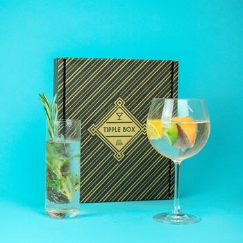 Make Your Own Gin And Tonic Set With Masons Gin, 5 of 6