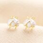 Opal Ladybird Stud Earrings In Gold, thumbnail 1 of 3