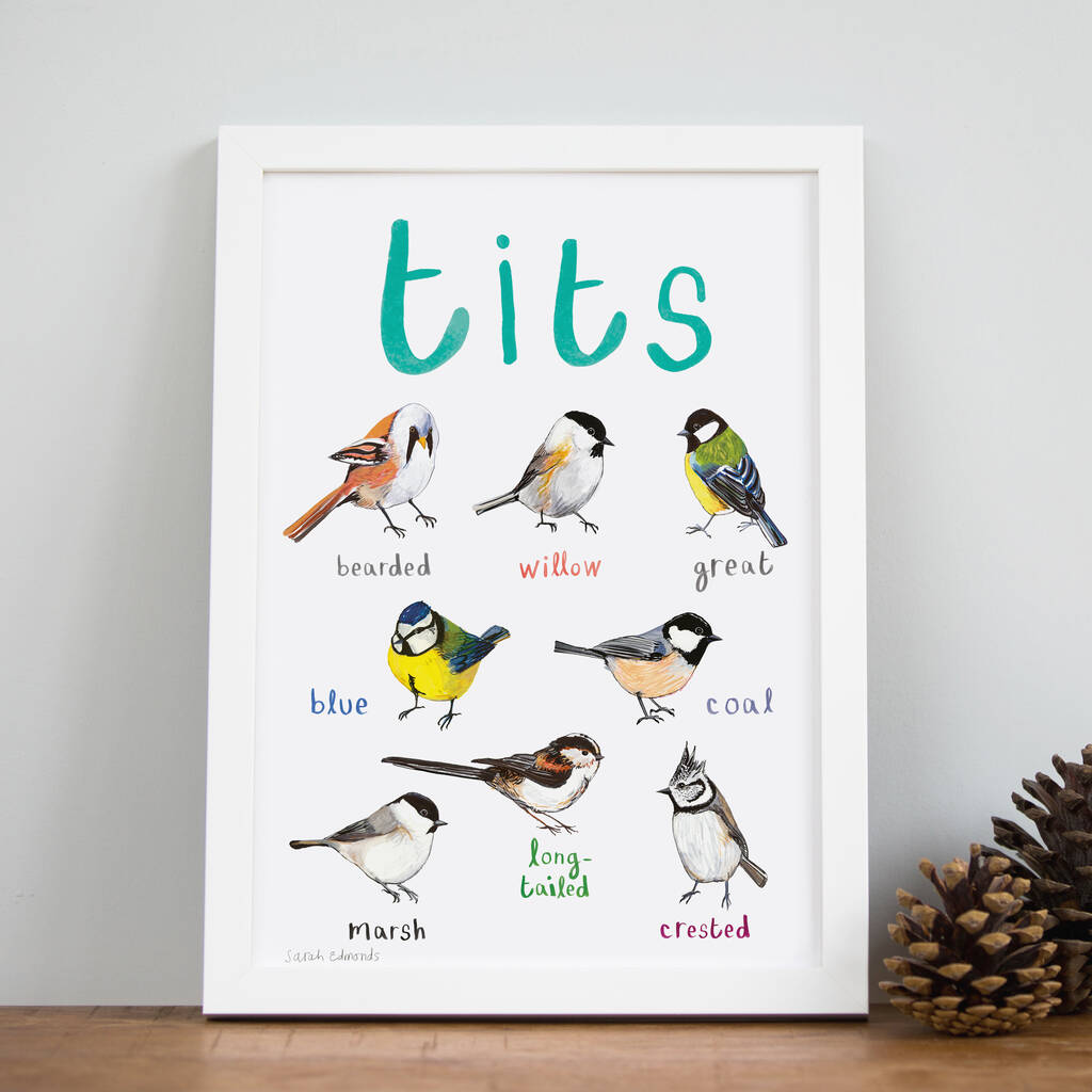 'Tits' Illustrated Bird Art Print, 1 of 3