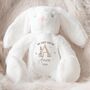 Personalised Baby My First Easter Rabbit Teddy, thumbnail 1 of 2