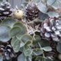 Christmas Wreath With Frosted Eucalyptus And Berries, thumbnail 4 of 8