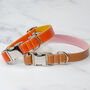 Soft Leather Adjustable Clip On Collar, thumbnail 1 of 9