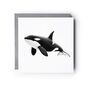 Killer Whale Sealife Card, thumbnail 5 of 6