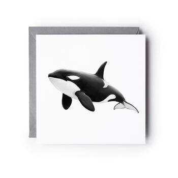 Killer Whale Sealife Card, 5 of 6