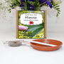Grow Your Own Mimosa Sensitive Plant Growing Kit, thumbnail 2 of 5