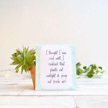 Plant Lovers Tea Giftset | Plant Mum | House Plant Gifts, 7 of 12