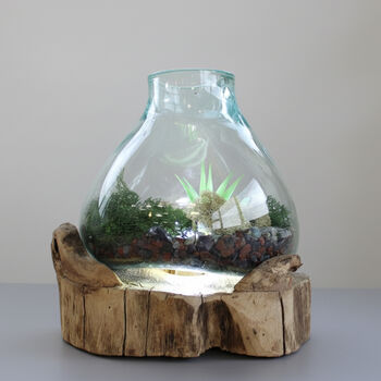 Molten Glass Terrarium Decorative Bowl On Wooden Base, 5 of 9