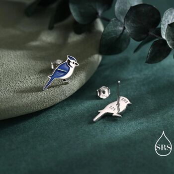 Blue Jay Sterling Silver Stud Earrings, 2 of 11