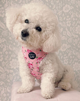 Sunday Rose Floral Dog Harness, 5 of 7