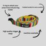 Multi Coloured Stripe Dog Harness Set, thumbnail 4 of 7