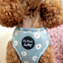 Little Pastel Green Daisies Dog Harness, thumbnail 9 of 11