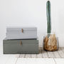 Metal Storage Trunk With Leather Detail, thumbnail 1 of 8