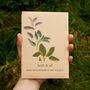 Geidwad: Welsh Illustrated Card With Sage Seeds, thumbnail 1 of 6