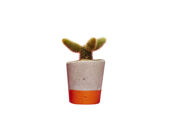 Concrete Pot Small With Cactus/ Succulent In Orange, 4 of 5