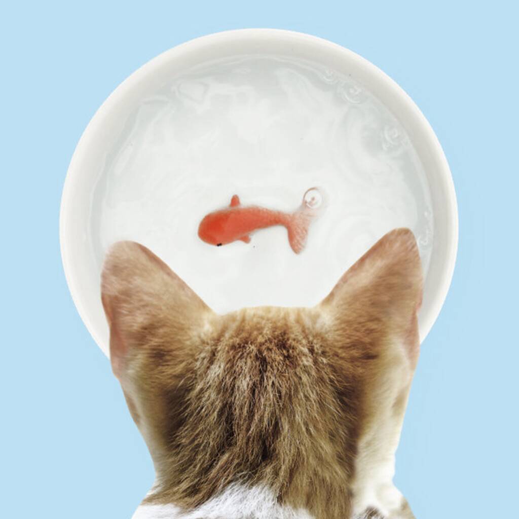 Goldfish Cat Water Bowl, 1 of 5