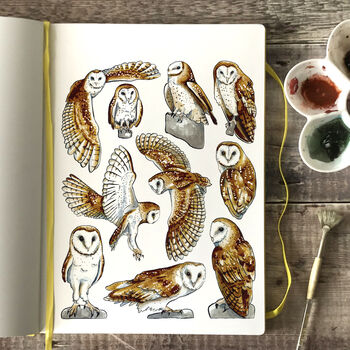 Barn Owls Wildlife Watercolour Postcard, 3 of 9