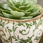 Irina Green Botanical Planter, thumbnail 5 of 8