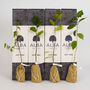 Crab Apple 'The Tree Of Love' Gift, thumbnail 1 of 6