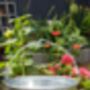 Zinc Bucket With Handles, thumbnail 3 of 3