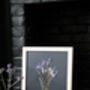 A3 Pressed Flower Art – Twilight Iris Botanical Frame In Sand, thumbnail 6 of 7