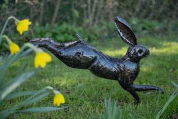 Single Bounding Hare, 3 of 3
