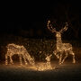 Large Studley Rattan Light Up Reindeer Family, thumbnail 1 of 3