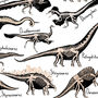 Dinosaur Fossils Print, thumbnail 5 of 8