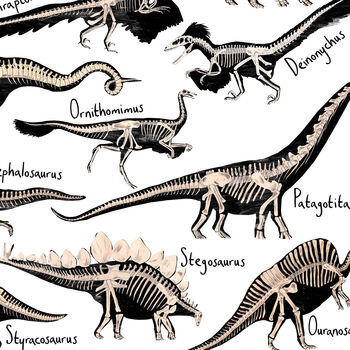 Dinosaur Fossils Print, 5 of 8