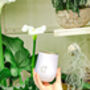 Dove White Insulated Wine Tumbler, thumbnail 4 of 5