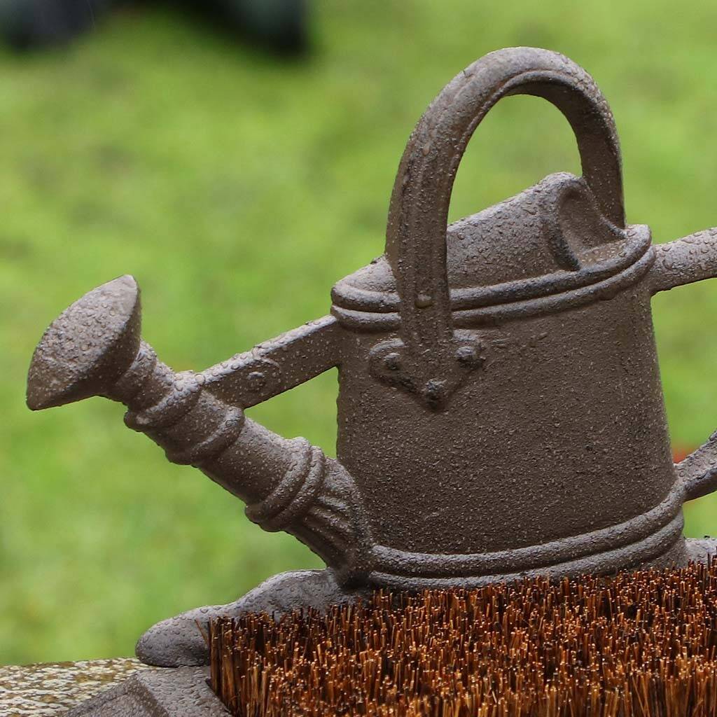 boot brush with water