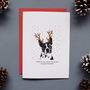 Dog Collection Christmas Card Pack, thumbnail 6 of 6